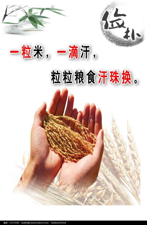巴什基尔国立大学机械制造学位证